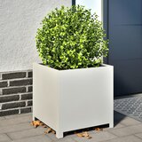 vidaXL Vrtna sadilica bijela 50 x 50 x 50 cm čelična Cijene