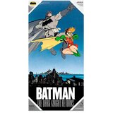 DC Comics Stakleni poster Batman i Robin, 30 x 60 cm Cijene