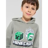Sinsay Dukserica s kapuljačom s printom Minecraft | shoptok.hr