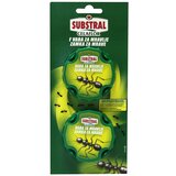 Naturen Celaflor Mamac za mrave (2 Kom., Sadržaj je dovoljan za: 15 m²) | shoptok.hr