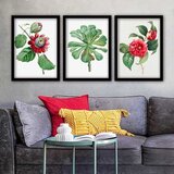 Wallity Set uramljenih slika 3SC_52096228, 3 Dela | ePonuda.com