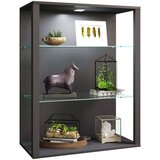MID.YOU Viseča Vitrina Glasol L, Antracit | Shoptok.si