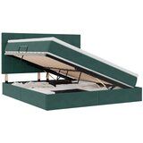 vidaXL Krevet s prostorom za pohranu s LED-om Tamnozelena 180 x 200 cm | shoptok.hr