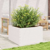  Vrtno cvetlično korito belo 80x80x45,5 cm trdna borovina | Shoptok.si