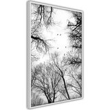  Poster - Treetops 20x30 | shoptok.hr