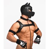Master Series Deluxe Pup Arsenal Set Black | shoptok.hr