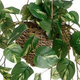 Casa Selección Umetne rastline v kompletu 2 ks (višina 50 cm) – | Shoptok.si