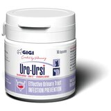 GIGI Uro-Ursi 90 tableta | Eponuda.com