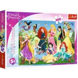 Tref line puzzle 100prince 16417 ( T64176 ) Cene