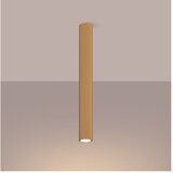 Nice Lamps Stropna svetilka v zlati barvi Gleam – | Shoptok.si