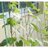 Gardlov a mreža - potpora za biljke 2x10m | shoptok.hr