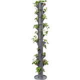Gusta Garden jagoda - Sissi Strawberry Infinity - Antracit Cene