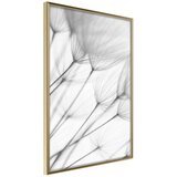  Poster - Gentle Blow 20x30 | shoptok.hr