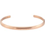 Daniel Klein nakit dk narukvica DKJ.3.1025-1 | shoptok.hr