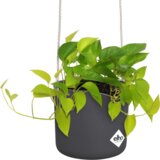 ELHO Viseči lonec 18 cm b.for swing - antracit Cene