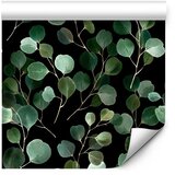  Tapeta - Flickering of Nature 50x1000 | shoptok.hr