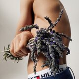 Tommy Hilfiger tommy toaletna voda 100 ml za moške | Shoptok.si