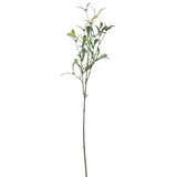  Grana Imela (Materijal: Plastika, Visina: 72 cm) | shoptok.hr