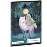 Ars Una Northern Lights A5 linirana bilježnica za 3. razred 12-32 | shoptok.hr