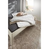 Billerbeck celoletna prešita odeja brilliant uno 240/200 cm | Shoptok.si