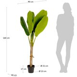 Kave Home Umetna palma (višina 160 cm) Baa – | Shoptok.si