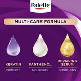 Schwarzkopf Palette Intensive Color Creme permanentna barva za lase odtenek 6-99 (V5) Intense Violet 1 kos | Shoptok.si