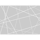  Foto tapeta - Modern Cobweb 250x175 | shoptok.hr