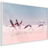  Poster - Flamingos Breaking into a Flight 30x20 | shoptok.hr