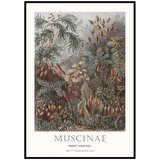 Malerifabrikken Plakat s okvirom 51x71 cm Tafel 72 – | shoptok.hr