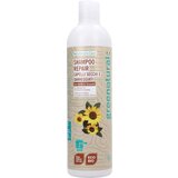 Greenatural Repair šampon s karitejevim maslom in sončnicami | Shoptok.si
