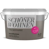 Notranja disperzijska barva Schöner Wohnen Trend (2,5 l, manhattan)