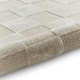 Think Rugs Svetlo siva preproga 160x230 cm Elio Silver – | Shoptok.si