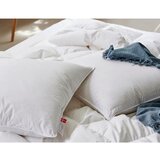Ringsted Dun Polnilo za blazino s polnilom iz perja 50x60 cm Snow Queen – | Shoptok.si