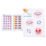 Polesie Mali doktroski set za decu Zubar 18 delova ( SW12080 ) | Eponuda.com