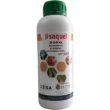 Jisaquel Boro, 1l