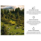 Agnella Bijeli vuneni tepih 200x300 cm Masi &amp;ndash; Slike