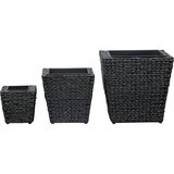  Povišene gredice 3 kom od vodenog zumbula crne | Shoptok.si