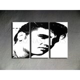  Ručno oslikana pop art slika elvis 120x80 cm | shoptok.hr