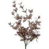 cvet EUCALYPTUS 79cm 32683-3 - Red - NNT