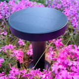 Zuma line DT33611 - LED solarna lampa CARLI LED/2W/2000 mAh IP44 crna | Eponuda.com