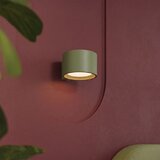 Sollux Stenska svetilka MODO 1 olivno zelena Gx53, (5000284947) | Shoptok.si