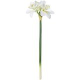 Eglo living veštačka biljka Molave 428112 | ePonuda.com