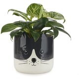 Balvi Keramičen cvetlični lonec ø 13,5 cm Kitty – | Shoptok.si