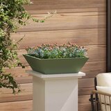  Vrtna saksija 5 pcs Maslinasto zelena 50 x 50 x 15 cm | shoptok.hr