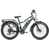JOBOBIKE Električni fatbike za moške Robin, za vse terene, Bafang 250W, 48V 13Ah baterija, črno-zelena, (5000008863) Cene