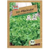 SPERLI Solatna semena BIO rezivka (Čas žetve: Maj) | Shoptok.si