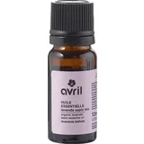 Avril Bio eterična olja - Speik-Lavendel