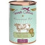 Terra Canis brez žitaric 6 x 400 g - Govedina z bučkami, bučo in origanom Cene