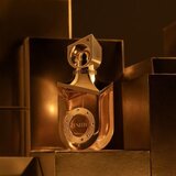 Riiffs Zenith čistý parfém unisex 100 ml | shoptok.hr
