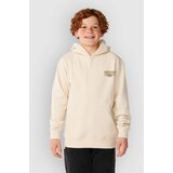 Rip Curl Air Shred Kids Pulover s kapuco vintage white Cene